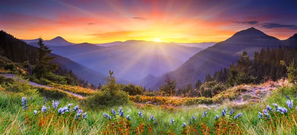 Zonsondergang in het berglandschap Stockfoto