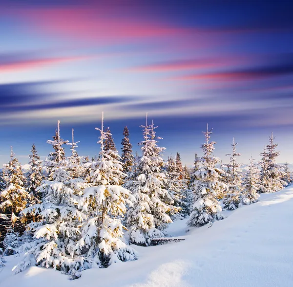 Sunset in the winter mountains — Stock Photo, Image