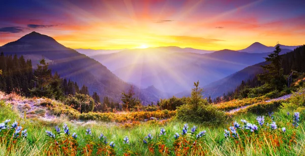 Berglandschap Stockfoto