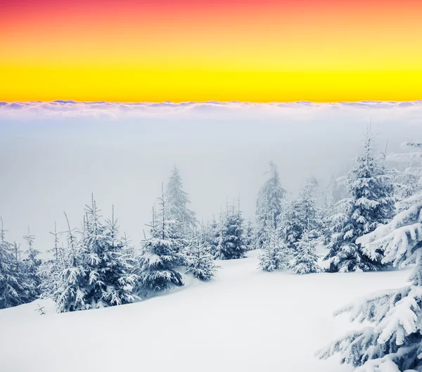 Paesaggio invernale — Foto Stock