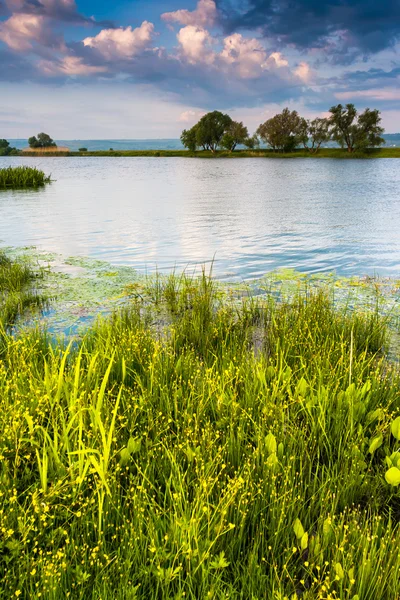 Södra buh floden — Stockfoto