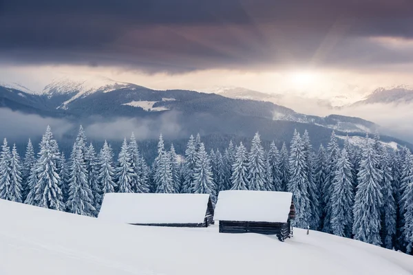 Vinterlandskap — Stockfoto