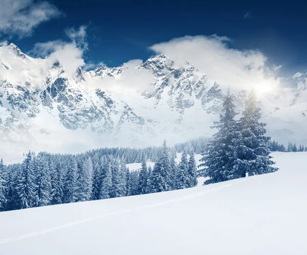 Berglandschaft — Stockfoto