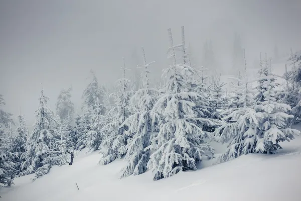 Paesaggio invernale — Foto Stock