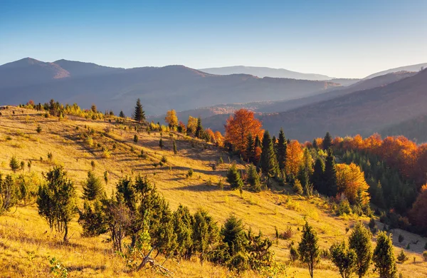 Sonbahar manzarası — Stok fotoğraf