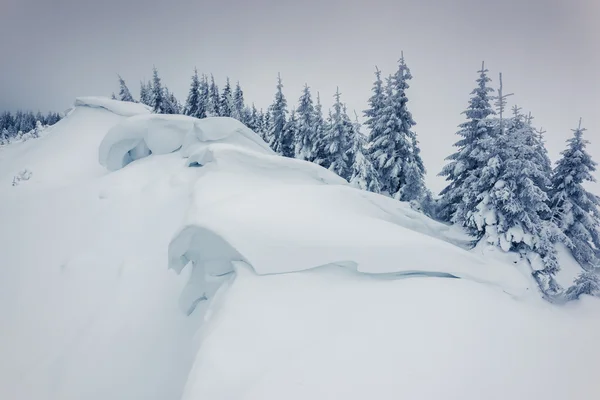 Paesaggio invernale — Foto Stock