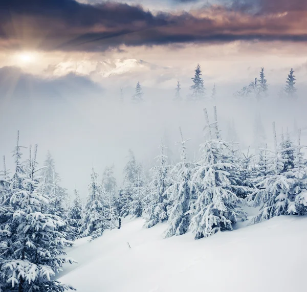 Paesaggio invernale — Foto Stock