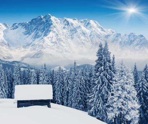 Berglandschap — Stockfoto