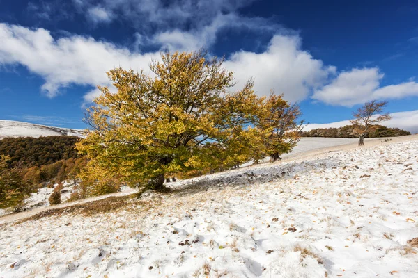 Paisaje otoñal — Foto de Stock