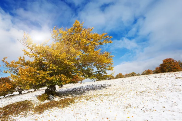 Sonbahar manzarası — Stok fotoğraf