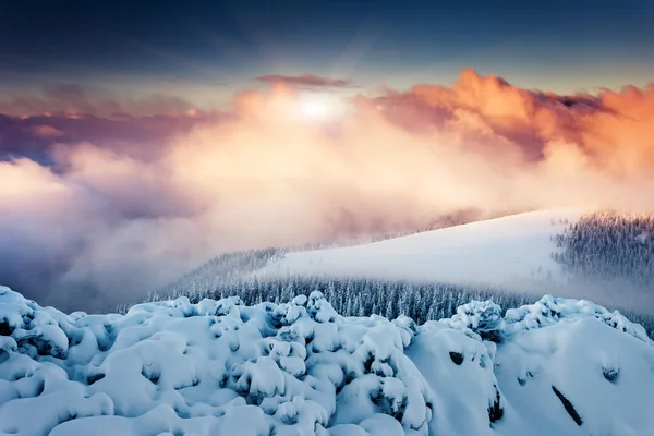 Berglandschap — Stockfoto