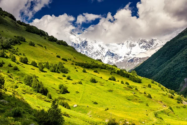 Yüksek dağ manzarası — Stok fotoğraf