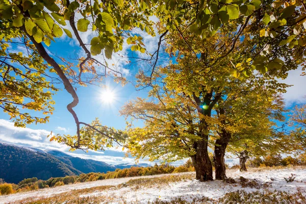 Sonbahar manzarası — Stok fotoğraf