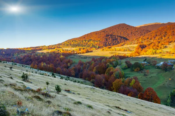 Paesaggio d'autunno — Foto Stock