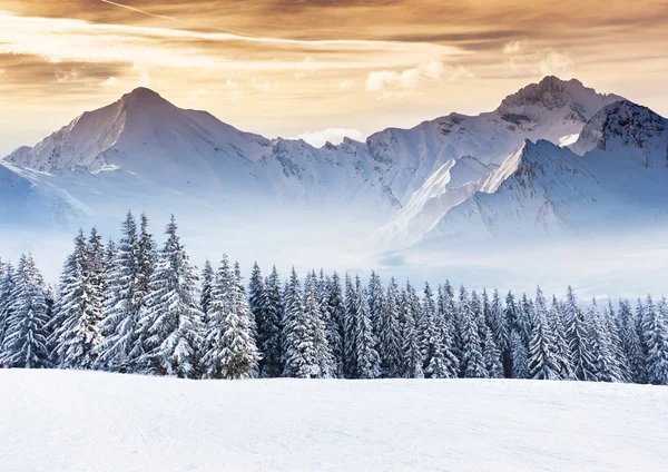 Paesaggio invernale — Foto Stock