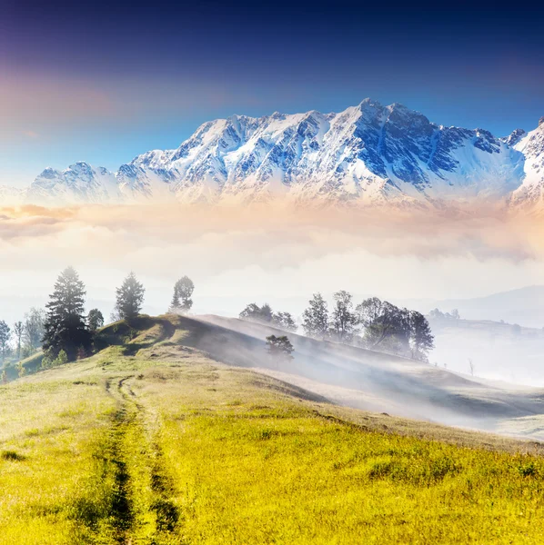 Mountain landscape — Stock Photo, Image