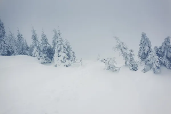 Paesaggio invernale — Foto Stock