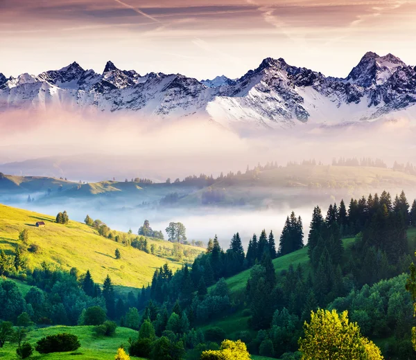 Berglandschap — Stockfoto