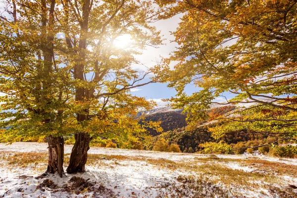 Paisagem de outono — Fotografia de Stock