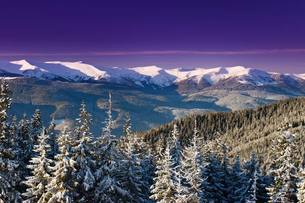 Paesaggio invernale — Foto Stock