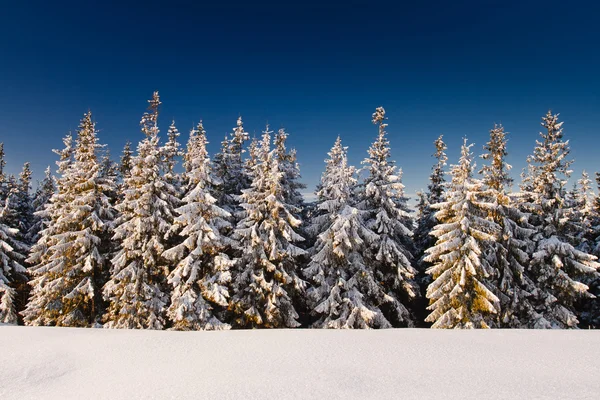 Paisaje invierno — Foto de Stock