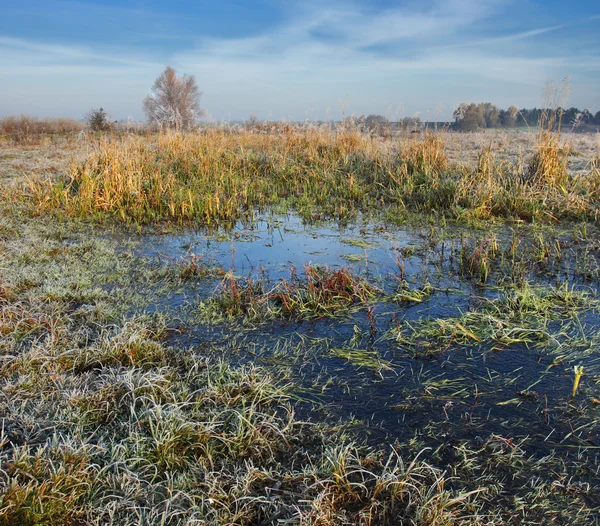 Autumn meadow — Stock Photo, Image