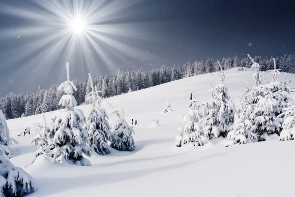 Winterlandschap — Stockfoto