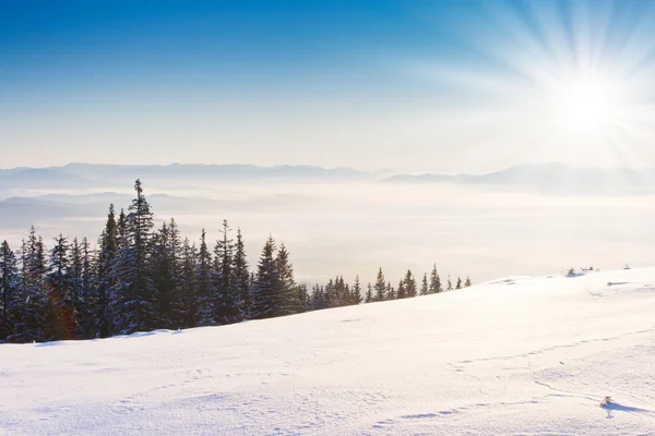 Paisagem inverno — Fotografia de Stock