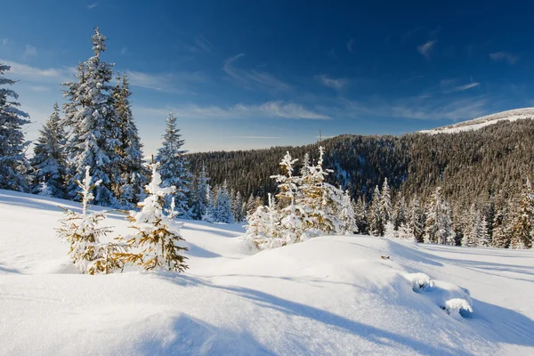 Paisagem inverno — Fotografia de Stock