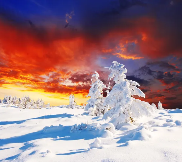 Tramonto invernale — Foto Stock