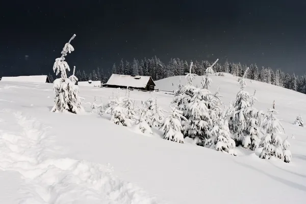 Vinterlandskap — Stockfoto