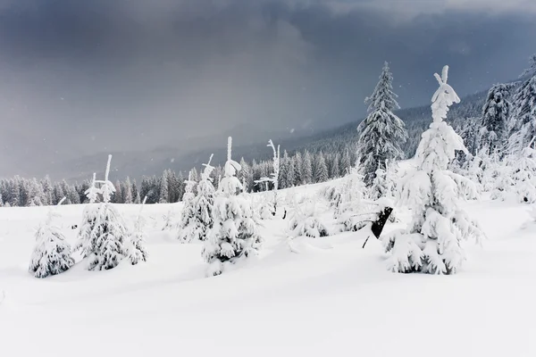 Paesaggio invernale — Foto Stock