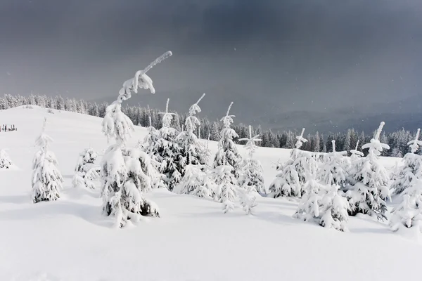 Paesaggio invernale — Foto Stock