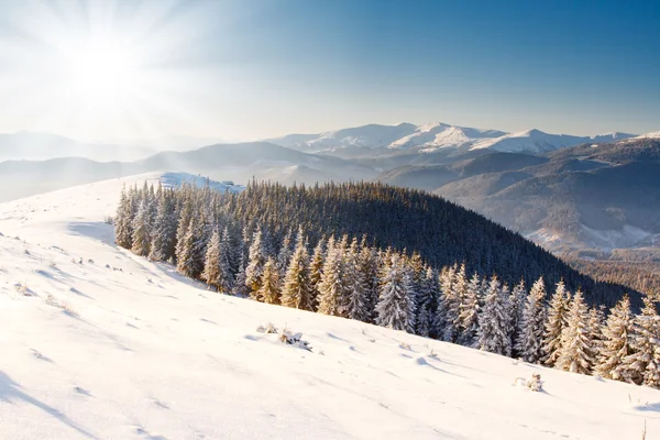 Winter landscape Royalty Free Stock Images
