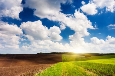 güneşli bir günde alanı