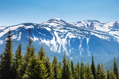 Harika bir dağ manzarası