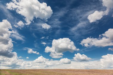 tarla ve mavi gökyüzü