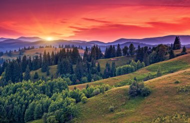Alacakaranlıkta güzel yeşil tepeler