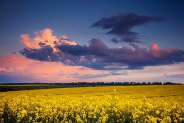 alan, dramatik bulutlu gökyüzü