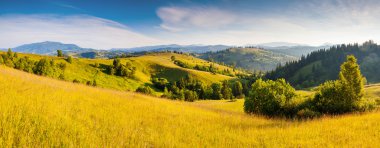 sabah gökyüzü altında güneşli hills