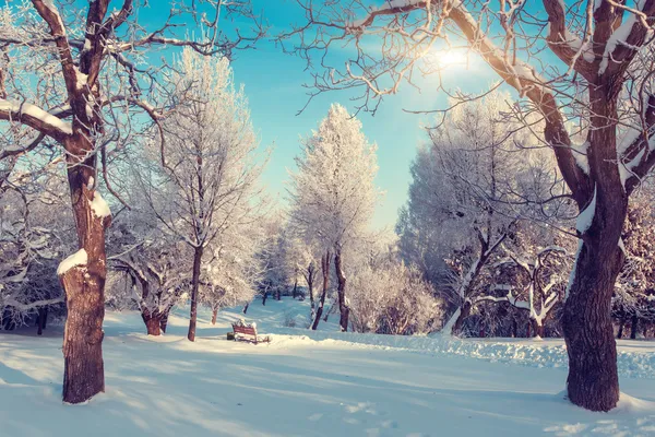 Paysage hivernal fantastique — Photo