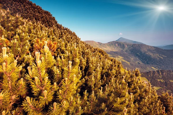 Berglandschaft — Stockfoto