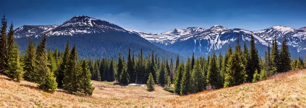 Fantástico paisaje de montaña — Foto de Stock