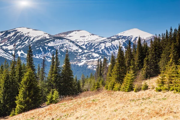 Fantástico paisaje de montaña — Foto de Stock