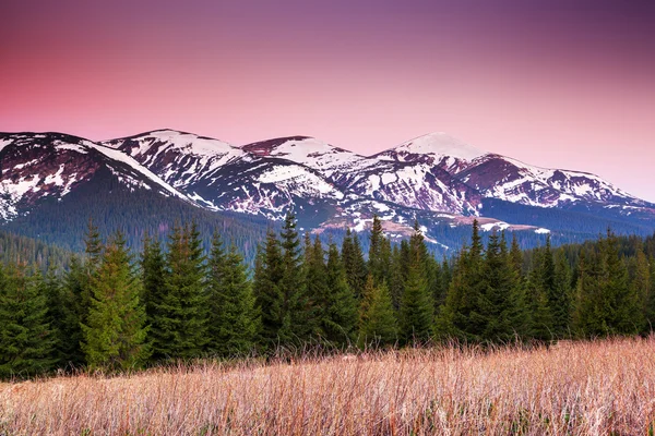 Fantastisk morgon bergslandskap — Stockfoto