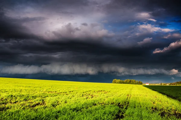 Зелене поле на драматичному розсіяному небі — стокове фото
