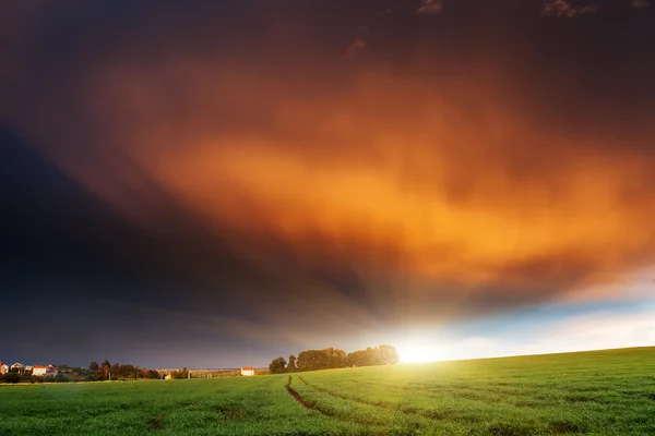 Fantastický pole při západu slunce — Stock fotografie