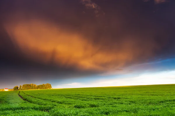 Campo fantástico ao pôr do sol — Fotografia de Stock