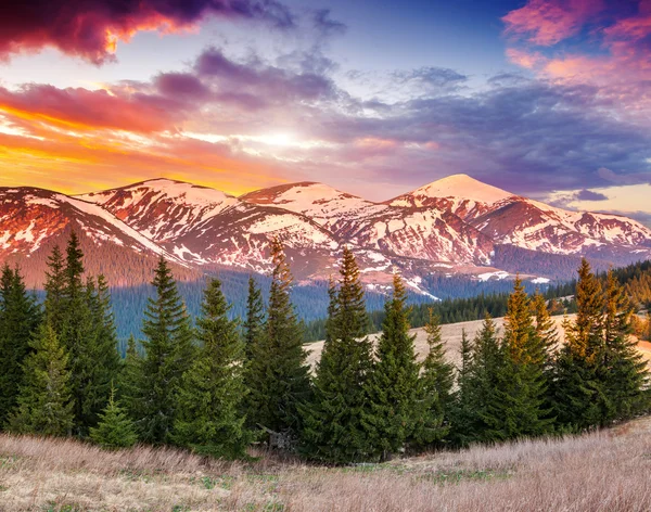 Sabah dağı manzarası — Stok fotoğraf