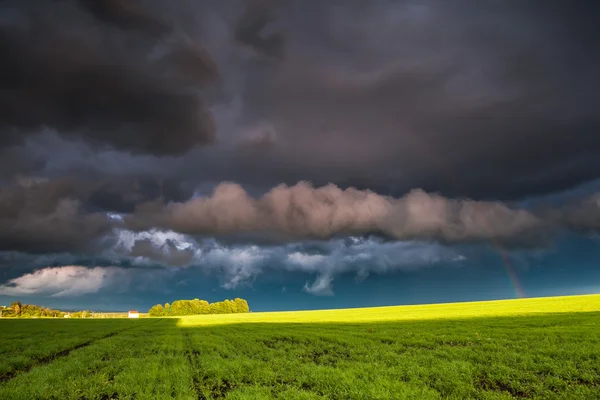 Veld op dramatische bewolkte hemel — Stockfoto